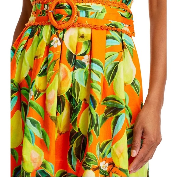 NWT FARM Rio Chic Pears Belted Mini Dress - Picture 2 of 13